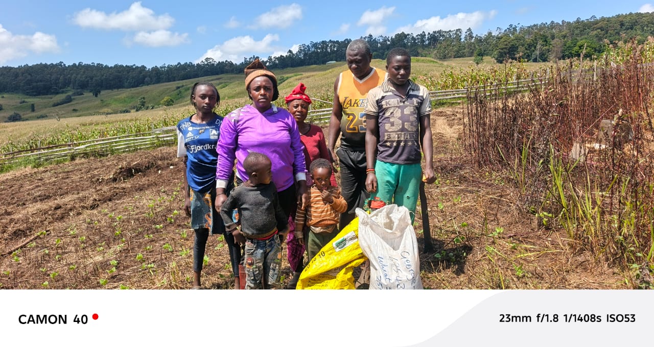 Wheat Farming in Nkum Subdivision photo 6